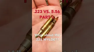 .223 vs 5.56 Part II, what about the .223 Wylde??