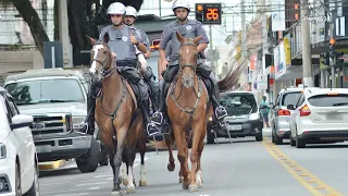 Cavalaria da Polícia Militar realiza patrulhamento em Pindamonhangaba | 03.fev.2022