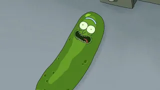 IM PICKLE RIIIIICCK 10 HOUR LOOP