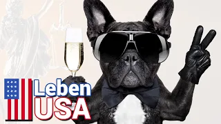 Die besten Gesetze in den USA!