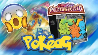 New Pokemon Paldea Evolved And I Hit GOLD !!!!