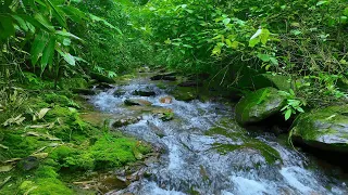 10Hours - mountain stream nature sounds for Deep Sleep, relaxing water sounds, Stress Relief, ASMR