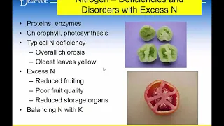 Johnson, Gordon: Deficiencies and Disorders of Vegetable and Fruit Crops