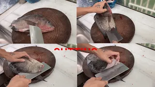 Alive Fish Cutting Knife Skills | How Professional fish cutting | Cutting in Restaurants | Fishing