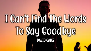I Can't Find The Words To Say Goodbye - David Gates (Lyrics)