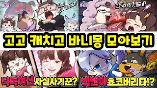 백앤아 애니메이션!? 고고캐치고 바니몽 모아보기!?[추석특집]