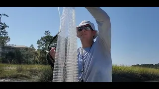 How to catch shrimp for bait.  It's easy!