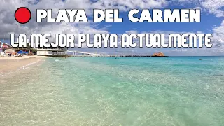 Playa Del Carmen LA MEJOR PLAYA DE LA CIUDAD🚨 Hoy 23 De Noviembre 2021 MUCHA GENTE⚠️