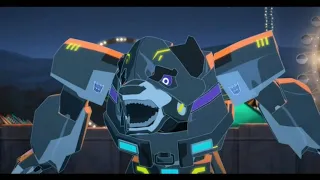 Meet All Decepticons Transformers (Robots In Disguise)
