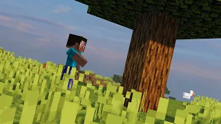 Life in Minecraft (C418 - Wet Hands)