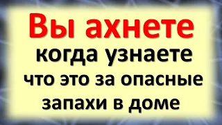 Вы ахнете, когда узнаете, что это за опасные запахи в доме. Сразу сделайте так, подсказки Вселенной