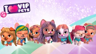 💖 პირველი სეზონი 💖🚨 კოლექცია 🚨 VIP PETS 🌈 ვიაპი ფეთს 🌈 სრული ეპიზოდები 💇🏼 მულტფილმები ქართულად