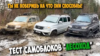 Тест самоблоков "ЛЕСОХОД". Ты не поверишь на что они способны!