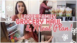 $200 GROCERY HAUL & MEAL PLAN + CLEAN WITH ME! (Large Family of 7)