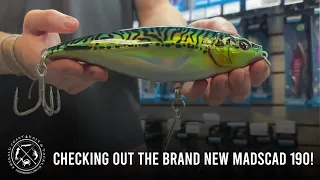 Checking Out The Brand New Madscad 190! | Emerald Coast Bait & Tackle