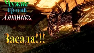 Aliens vs Predator (Чужие против хищника) - часть 10 - Засада!!!