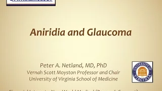 Netland - Aniridia Glaucoma Russia Presentation