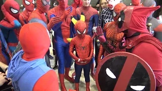 SPIDER-MAN: Spider-Verse Chaos at MegaCon! Real Life Superhero Movie - TheSeanWardShow