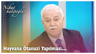 Hayvana ötanazi yapılması caiz mi? | Nihat Hatipoğlu Sorularınızı Cevaplıyor