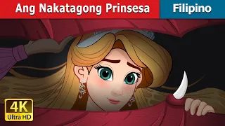 Ang Nakatagong Prinsesa | The Hidden Princess in Filipino | @FilipinoFairyTales