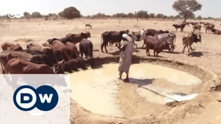 Sudanese farmers in search of water | Global 3000