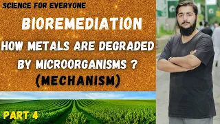 Bioremediation (Mechanism of degradation of Metals by Microorganisms)