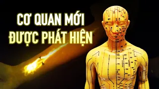 Y học hiện đại thừa nhận "cơ quan vô hình" chỉ con mắt thứ ba mới nhìn thấy được