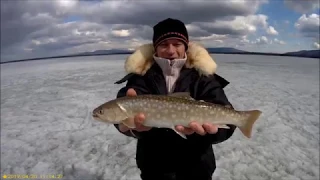 Окончательное закрытие зимнего сезона 2019   04   20