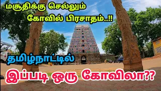 அழகிய கிராமத்தில் பிரம்மாண்ட கோவில் - Hidden Temple in Tamilnadu - Sri Mushnam Temple