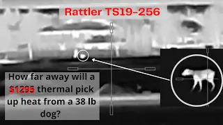 Now $999: AGM Rattler TS19-256 Image Quality from 50-700 yards