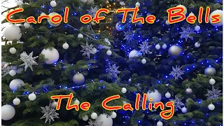 #marychristmas Carol Of The Bells - The Calling. Joyeux Noël! Щедрик, щедрівочка.