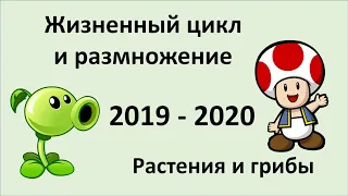 14. Размножение и развитие растения/грибы (9 или 10-11 класс) биология, подготовка к ЕГЭ и ОГЭ 2020