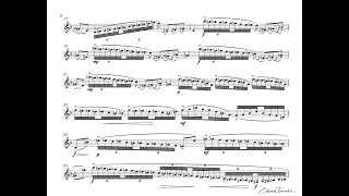 N. Paganini - Caprice No.17 - T. Dokshizer trumpet Bb