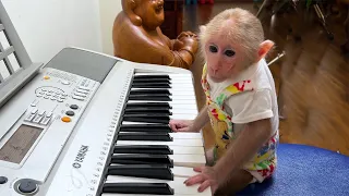 Super monkey! BiBi learns the organ and helps dad clean up after eating!