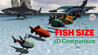 Fish Size Comparison (New Version) Smallest Fish | World Largest Fish | water animal🐠🐟🐙