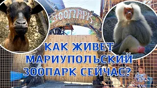 КАК ЖИВЕТ МАРИУПОЛЬСКИЙ ЗООПАРК СЕЙЧАС? АВГУСТ 2022, МАРИУПОЛЬ