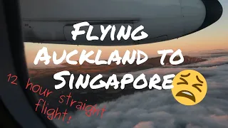 Flying from New Zealand To Singapore