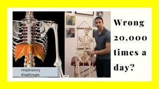 Chronic Neck & Shoulder tightness: Diaphragmatic Breathing Exercises