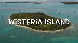 Wisteria Island: Hell or Paradise?