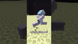 The NEW Fastest Minecraft Speedrun