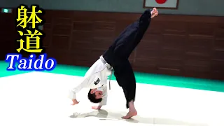 Your rotating kick definitely hits the enemy! Sokutengeri of 【TAIDO】With various subtitles.
