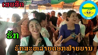 ฮัก+รักสลายดอกฝ้ายบาน+สาวโพนผาง เสบสด งานแต่งบ้านลำบอง #ບ້ານນາສຽງພິນ #บ่าวต้อมChannel