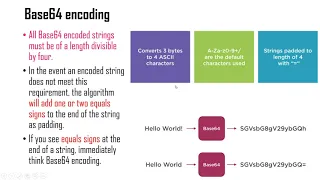 Static Analysis - String Analysis - Module-2 Encoded String Analysis in malware file