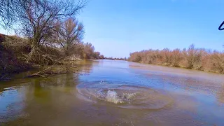 ОН НАПАЛ НА МЕНЯ В ВОДЕ ТАКОЕ ПЕРВЫЙ РАЗ ВИЖУ рыбалка весной на реке