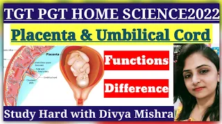 Difference Between Placenta and umbilical cord || Function of Placenta || Functions of UmbilicalCord