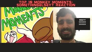 Top 10 monkey moments | SomethingelseYT | The B Reacts