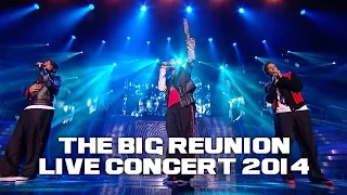 3T - I NEED YOU (THE BIG REUNION LIVE CONCERT 2014)