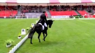 Dressage Clayton Fredericks The Frog - Badminton 2010 - Horse & Country TV