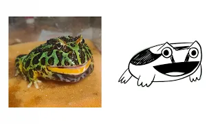 drawing my frog until he becomes an incomprehensible shape