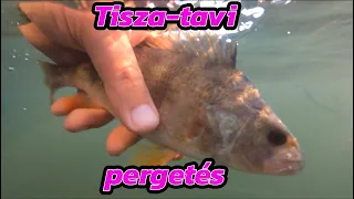 Tisza-tavi pergetés - késő őszi időszakban